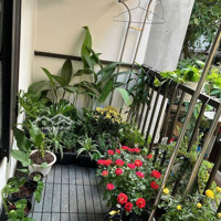 Hàng Hiếm Ngay Phố Cổ Hà Đông Lê Lợi Hoàng Hoa Thám Giá Siêu Rẻ Chỉ 6,3Tỷdiện Tích34M