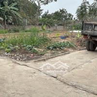 Bán Đất Xã Tân Minh, 1,04 Tỷ, 58M2, Hàng Hiếm Tại Sóc Sơn, Hà Nội
