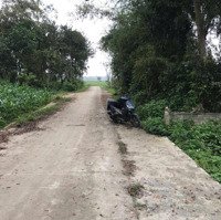 Bán Đất Thái Thọ, Xã Nghi Thái, Huyện Nghi Lộc