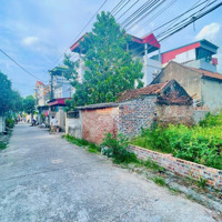 Bán Đất Chính Chủ Tại Hải Bối 81M2Mặt Tiềnvà Hậu Gần 5M - Ô Tô Thông Đất.