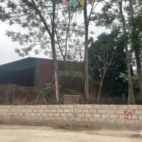 TRỤC CHÍNH LA GIÁN, CỔ ĐÔNG 372M2, GIÁ 1XTR/M2