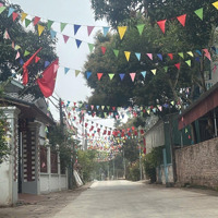 Trục Chính La Gián, Cổ Đông 372M2, Giá 1Xtr/M2