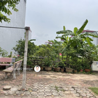 Bán Lô Đất 79,5M2 View Vườn Hoa Cực Đẹp Tại Tt Trâu Quỳ, Gia Lâm, View Vườn Hoa Cực Đẹp.