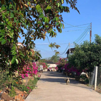 Bán Lô Đất 234.3M² Mặt Tiền 10M, Gần Ql329, Chợ Xuyên Mộc, Tt Phước Bửu Chỉ 5Km, Giá 999 Triệu