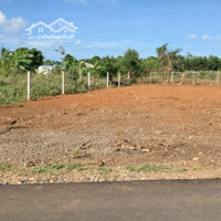 Bán Lô Đất 1700M2 Ở Dầu Tiếng Gầndiện Tích748 Giá Bán 900 Triệu, Sổ Hồng Sẵn