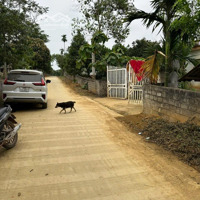 Bán Trang Trại, Khu Nghỉ Dưỡng Tại Xã Lỗ Sơn, Tân Lạc, Hòa Bình, 480 Triệu, 690 M2
