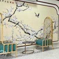 Chính Chủ Cố Nhà Tại Đường Hoa Sữa Giá Cố 350 Triệu