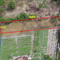 Bán Đất Tại Thị Trấn Phước Bửu, 4,5 Triệu/M2, 1473M2, Mặt Tiền 15M