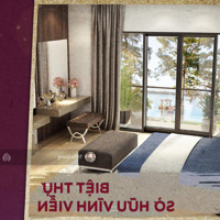 Em Giang Pkd Chủ Đầu Tư Chia Sẻ 8 Yếu Tố Hội Tụ Tại An Quý Villa Nam Cường, Htls 0% 24Th, Ck Khủng