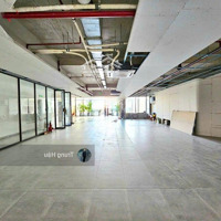 Tòa Building Mặt Tiền Nguyễn Đình Chiểu Quận 1 (Dt 9 X 27M = 243M2 - Hầm - 8 Tầng) Giá Bán 120 Tỷ