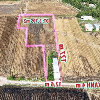Nhà Vườn 3.795 M2 Đường Ô Tô, Trung Tâm Huyện Đức Huệ, Long An Cần Bán Gấp