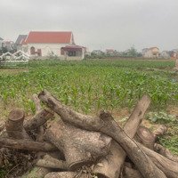 Bán Đất Tại Nghĩa Đạo, 16,5 Tỷ, 100M2, Giá Siêu Hời, Bắc Ninh