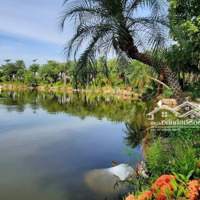 Bán Đất Liền Kề Vườn Hồng Từ Sơn View Mát Mẻ, Sổ Cầm Tay, Liên Hệ: 0326569236