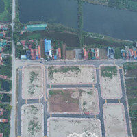 Bán Đất Đấu Giá Phạm Hồng Thái - Khoái Châu Gần Dự Án Sân Golf Và Con Đường Di Sản - Cực Tiềm Năngo