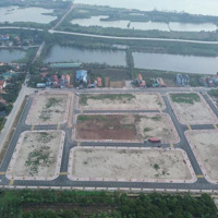 Bán Đất Đấu Giá Phạm Hồng Thái - Khoái Châu Gần Dự Án Sân Golf Và Con Đường Di Sản - Cực Tiềm Năngo