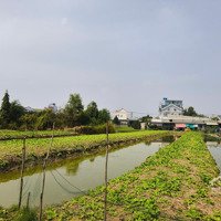 Cần Bán Gấp Đất Tân Quý Tây, Bình Chánh, Tp. Hcm