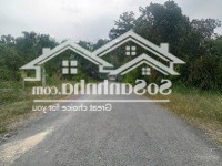 Bán Nhanh Lô Đất Đẹp Giá Rẻ Tại Củ Chi Gần Bệnh Viện Xuyên Á