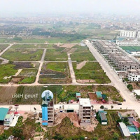 Cần Bán Biệt Thự Khu B - Cienco Mê Linh - Sổ Đỏ Diện Tích 300M2 . Giá Tốt Nhất Thị Trường.