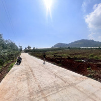 Bán Đất Trung Tâm Xã Liên Hiệp,Diện Tích5X34, Cn 170M2 Thổ Cư, Đường 5M Giá Bán 920 Triệu