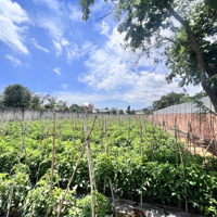 Bán 2000M2 Đất Trung Tâm Khu Bàn Cờ Xã Liên Hiệp,Diện Tích20X100 Có 400M2 Thổ Cư Giá Bán 10 Tỷ