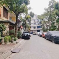 Bán nhà Hồ Đắc Di, Đống Đa, ôtô, kinh doanh, hiếm nhà bán, 185mx2t, 38.5 tỷ, 0985696268