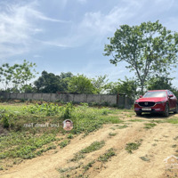 Chính Chủ Gửi E Tâm Bán Lô Đất Diện Tích 2200M Cố 130M Thổ Cư Tại Nhuận Trạch-Lương