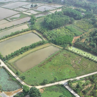 Bán Đất Tại Xóm 3, Khánh Thành, Yên Khánh, Ninh Bình, 10 Triệu / M2, 982 M2
