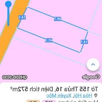 Vườn Nhãn 3 Năm Tuổi Thuộc Xã Hoà Hội Xuyên Mộc Brvt