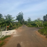 Bán 2Ha8 (28000M2) Đất Đá Bạc, Châu Đức, Có 300 Thổ Cư, 2Mặt Tiềnnhựa 150M, Nhà C4, Phủ Hồng