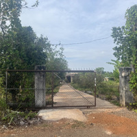 Bán 2Ha8 (28000M2) Đất Đá Bạc, Châu Đức, Có 300 Thổ Cư, 2Mặt Tiềnnhựa 150M, Nhà C4, Phủ Hồng