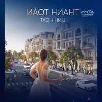 Bán Biệt Thự Royal River City, Hạ Lý, Thượng Lý, Hồng Bàng, Hải Phòng, 8,6 Tỷ, 75 M2