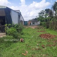 Cần Bán Gấp Đấtmặt Tiềnđường Tạ Uyên, P1, Cà Mau, Cách Ks Mường Thanh 500M,Diện Tích120M2 Giá Bán 500 Triệu Sổ Sẵn