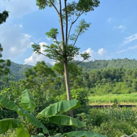 Yên Bài. 3000M2. Thổ Cư 400M. Mặt Tiền Nhiều. View Trọn Cánh Đồng. E Hiền 0988908583