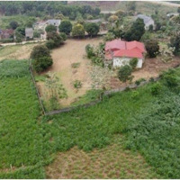 Yên Bài. 3000M2. Thổ Cư 400M. Mặt Tiền Nhiều. View Trọn Cánh Đồng. E Hiền 0988908583