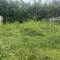 Chủ Cần Bán Gấp Lô Đất Vườn 500M2, Giá Bán 750 Triệu Oto Vào Tận Nơi, Đất Vuông Vức, Cao Ráo Đẹp, Shr