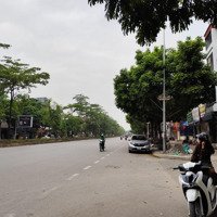 Bán Gấp - Giảm Chào 500 Triệu - Oto Thông - Vài Bước Oto Tránh - Diện Tích Rộng - Giá Hợp Lí