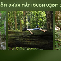 Eco Retreat - Giỏ Hàng Độc Quyền Căn Đẹp. Alo Em Quỳnh Anh