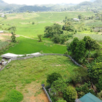 Bán Đất Tại Xã Hợp Phong, Cao Phong, Hòa Bình, Giá Bán 1,8 Tỷ, Diện Tích 1900M2, Đẹp Hết Nước Chấm