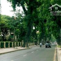 Bán biệt thự Vườn Đào, Tây Hồ 236m mặt tiền 15m, view vườn hoa 129 tỷ