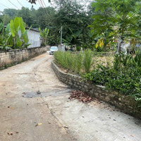 Bán Bạt 940M, Thôn 5, Liên Khê, Thuỷ Nguyên, Hải Phòng
