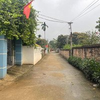 Chính Chủ Cần Bán Đất Tản Lĩnh, Ba Vì, Nằm Trong Quần Thể Khu Du Lịch, Nghỉ Dưỡng