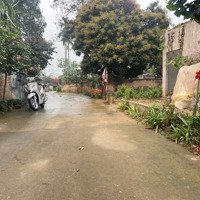 Chính Chủ Cần Bán Đất Tản Lĩnh, Ba Vì, Nằm Trong Quần Thể Khu Du Lịch, Nghỉ Dưỡng
