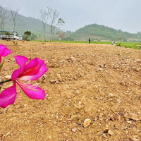 600 M2 - Lương Đình - Hồ Cầu Bãi. View Thoáng Sáng Tự Nhiên, Trục Chính Ô Tô Tránh, Vuông Đẹp