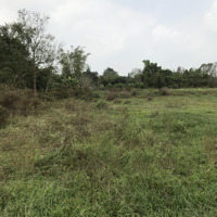 Bán Đất Suối Lội, Phước Vĩnh An, Củ Chi, Hcm Giá Ưu Đãi Chỉ Với 19 Tỷ, 5448 M2