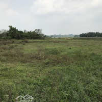 Bán Đất Suối Lội, Phước Vĩnh An, Củ Chi, Hcm Giá Ưu Đãi Chỉ Với 19 Tỷ, 5448 M2