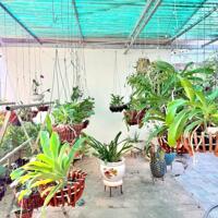 NƠI AN CƯ LÝ TƯỞNG, KHỞI ĐẦU HÀNH TRÌNH HẠNH PHÚC54m NHÀ ĐỎ ĐẸP HÀ TRÌ, NGÕ THÔNG NỞ HẬUchỉ nhỉnh 7 tỷ