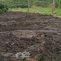 Bán Đất Mặt Tiền Hồ, Gần Đường Lớn & Cao Tốc Tại Bảo Lâm, Lâm Đồng - Chính Chủ