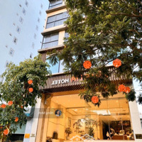 Bán Khách Sạnhẽm Xe Hơi58 Nguyễn Minh Hoàng, P.12, Tb,Diện Tích407M2 - Hầm 6 Tầng - Thu Nhập 180 Triệu/Tháng