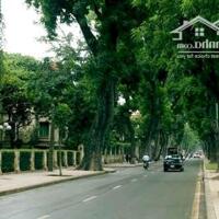 Bán biệt thự Vườn Đào, Tây Hồ 236m mặt tiền 15m, view vườn hoa 129 tỷ