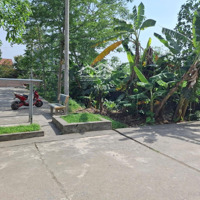 Bán 133M Đất Xóm Nứa, Xã Đại Yên, Chương Mỹ Cách Đường 419 Gần 30M